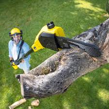 Best Hazardous Tree Removal  in Sansom Park, TX